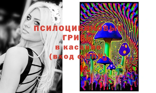 экстази Алзамай