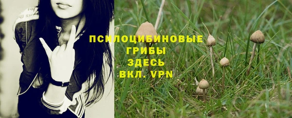 дмт Алексеевка