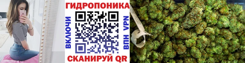 Шишки марихуана индика  магазин продажи наркотиков  Ивангород 